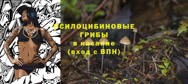 МДПВ Армянск